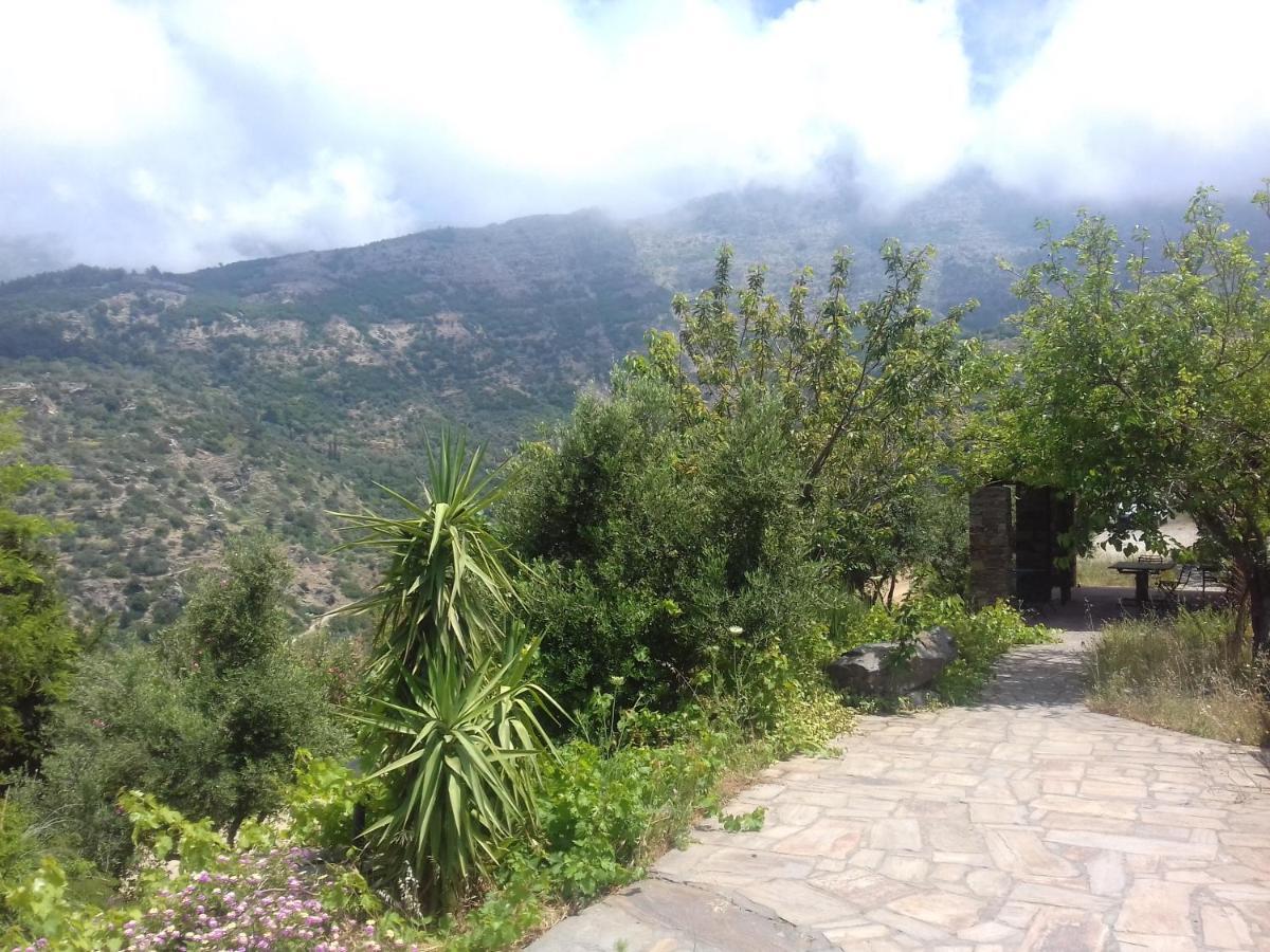 Ikarian Centre - Accommodation & Mountain Hiking Evdilos  Exterior foto